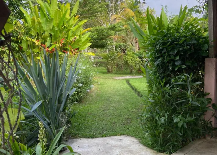 North Bali Eco Nature Retreat Farm stay