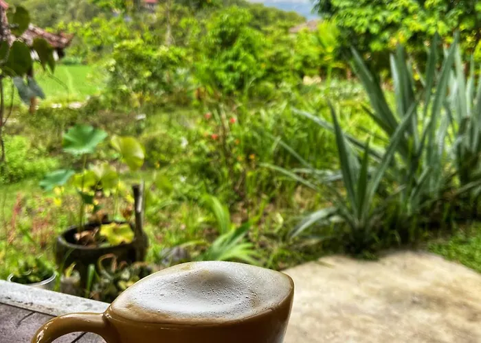North Bali Eco Nature Retreat *