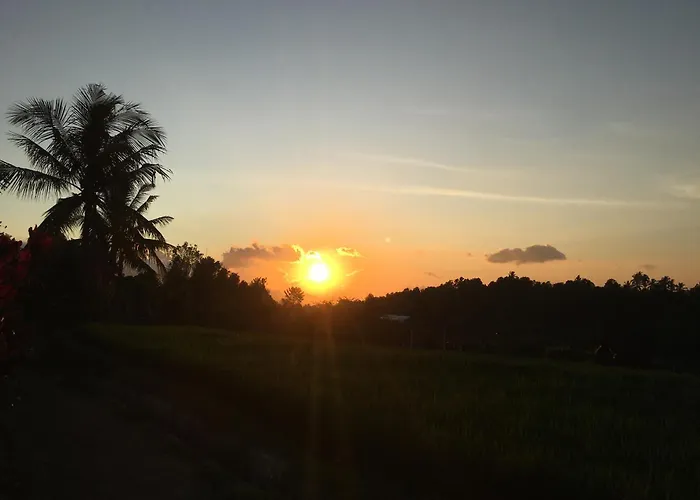 Farm stay North Bali Eco Nature Retreat Gobleg (Bali)