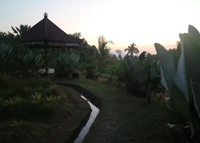 Farm stay North Bali Eco Nature Retreat *