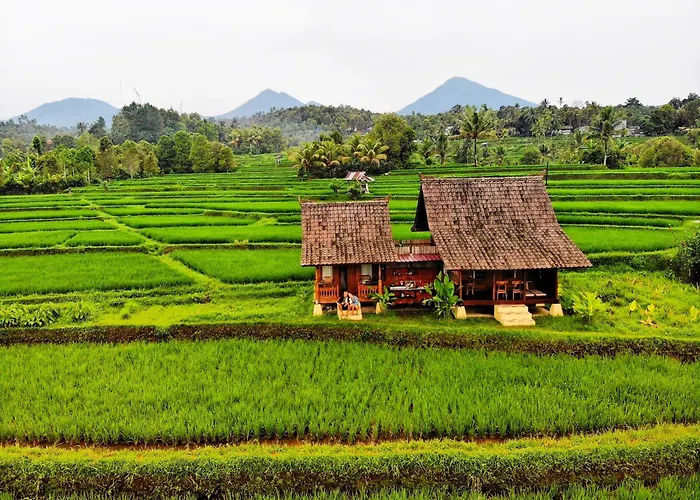 North Bali Eco Nature Retreat