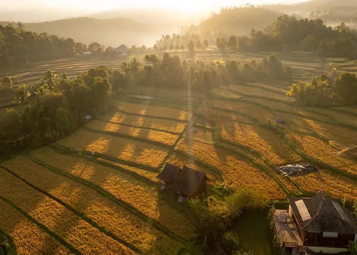 Farm stay North Bali Eco Nature Retreat Gobleg (Bali)