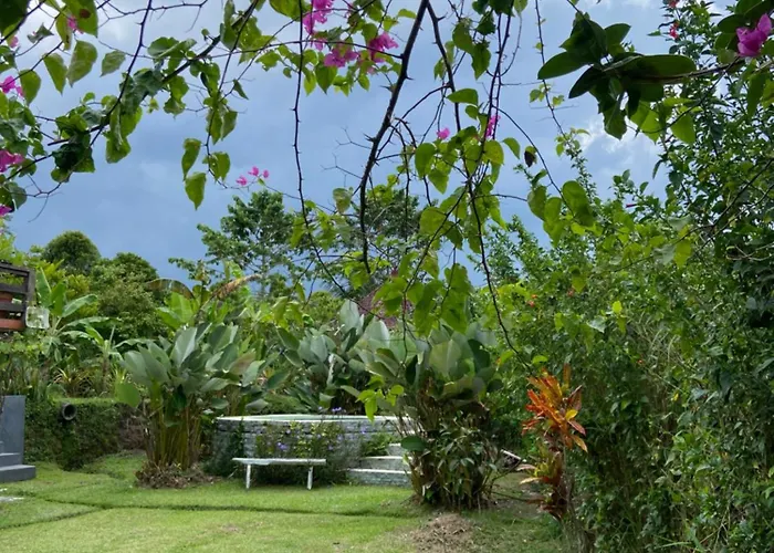 Farm stay North Bali Eco Nature Retreat Gobleg (Bali)