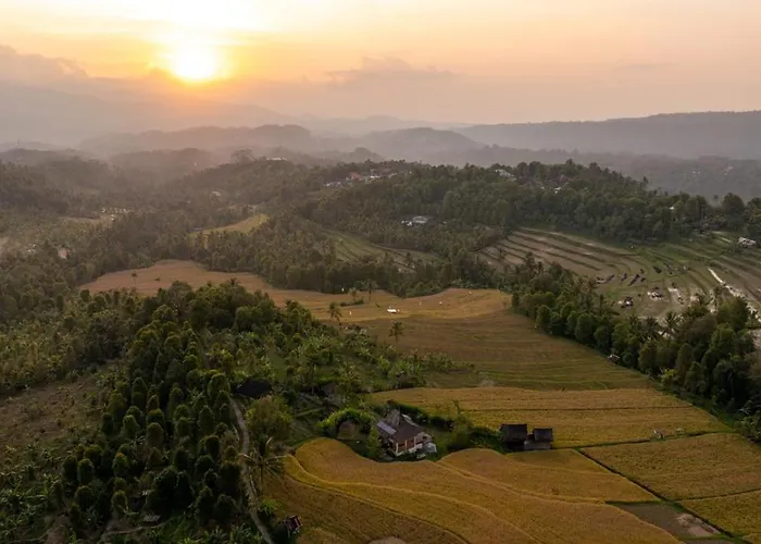 Farm stay North Bali Eco Nature Retreat