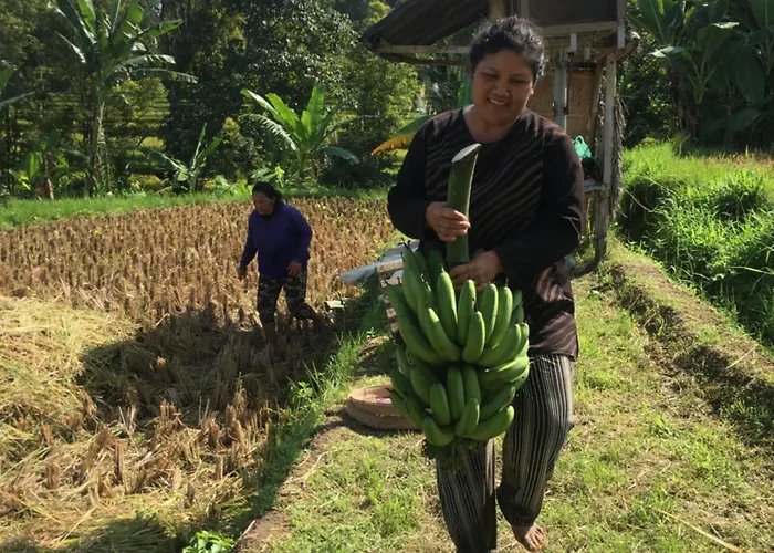 North Bali Eco Nature Retreat Gobleg (Bali)
