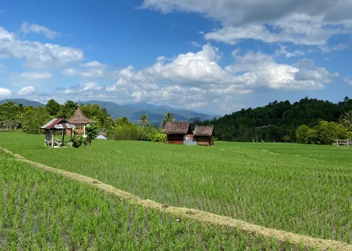 North Bali Eco Nature Retreat Farm stay