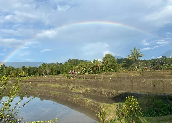North Bali Eco Nature Retreat