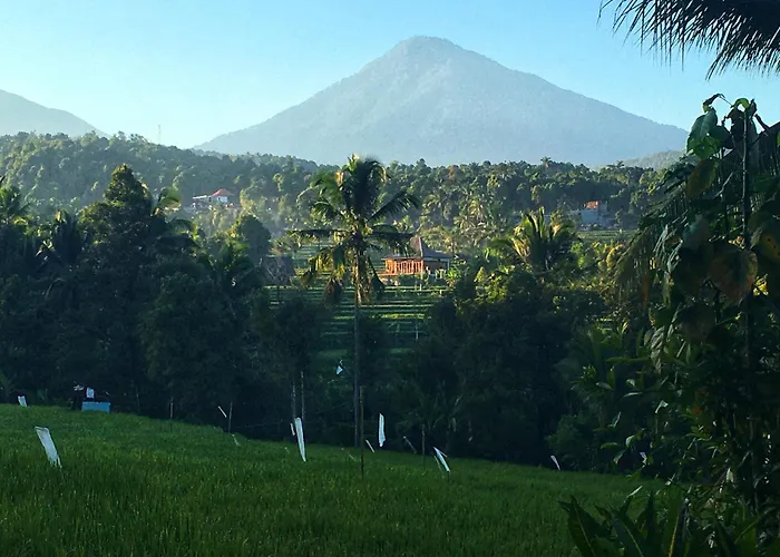 Farm stay North Bali Eco Nature Retreat Gobleg (Bali)
