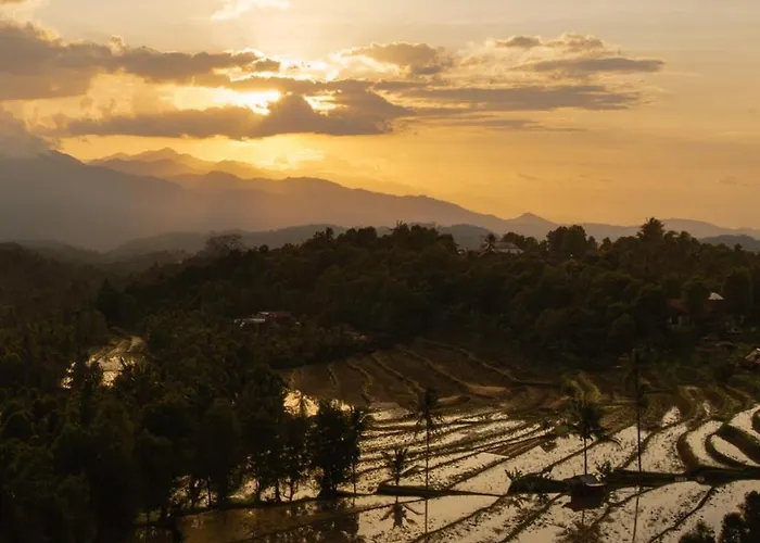 North Bali Eco Nature Retreat Farm stay Gobleg (Bali)