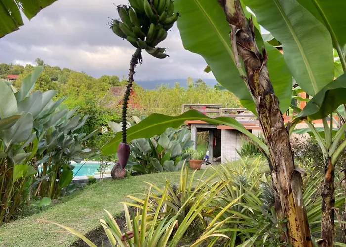 North Bali Eco Nature Retreat Farm stay *