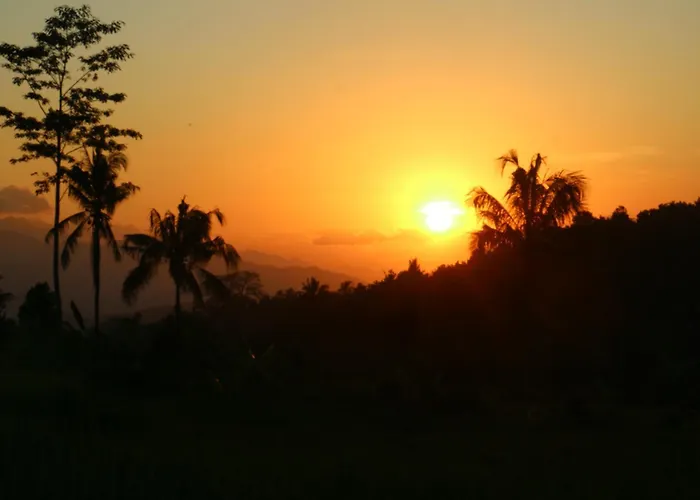 North Bali Eco Nature Retreat Farm stay Gobleg (Bali)