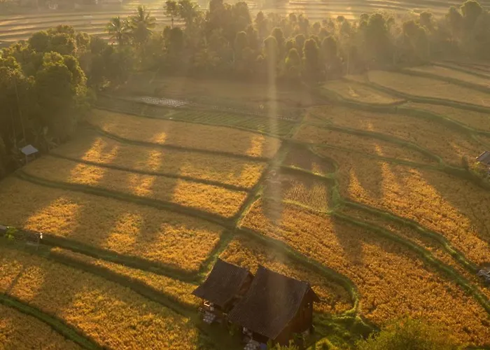 North Bali Eco Nature Retreat Farm stay Gobleg (Bali)