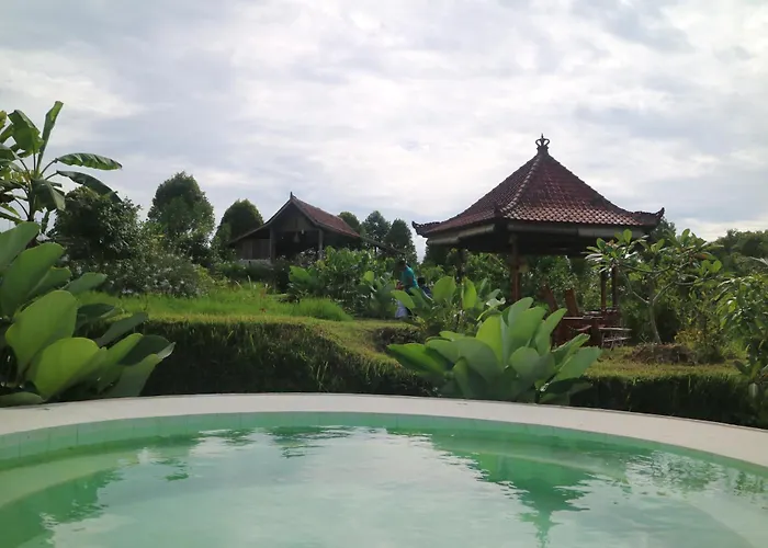 North Bali Eco Nature Retreat * Gobleg (Bali)