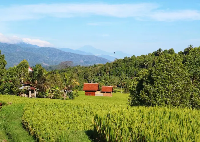 North Bali Eco Nature Retreat Farm stay