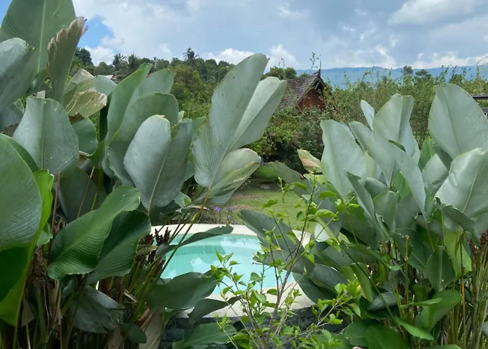 Farm stay North Bali Eco Nature Retreat Gobleg (Bali)