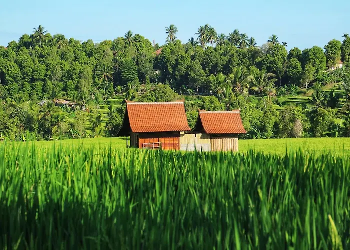 North Bali Eco Nature Retreat *