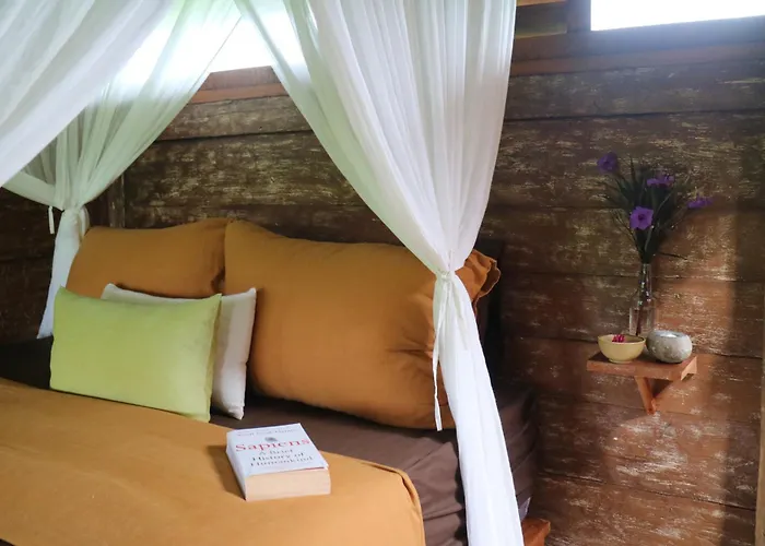 Farm stay North Bali Eco Nature Retreat *