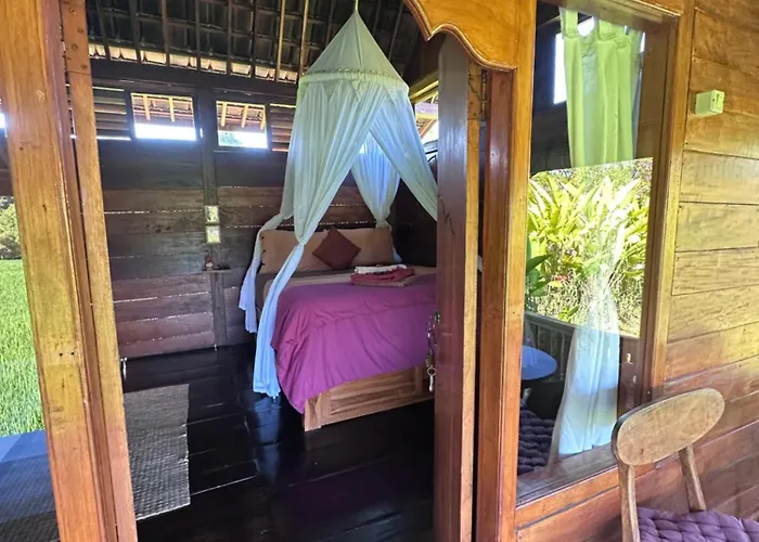 Farm stay North Bali Eco Nature Retreat Gobleg (Bali)